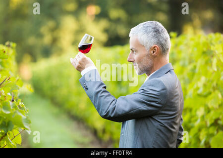 Caucasian man examining glass of wine in vineyard Stock Photo