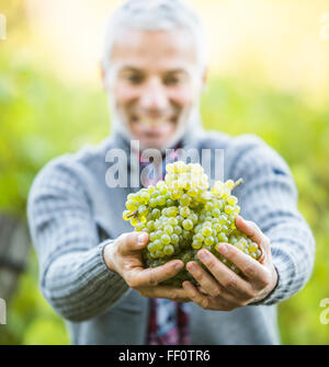 Caucasian farmer holding grapes in vineyard Stock Photo