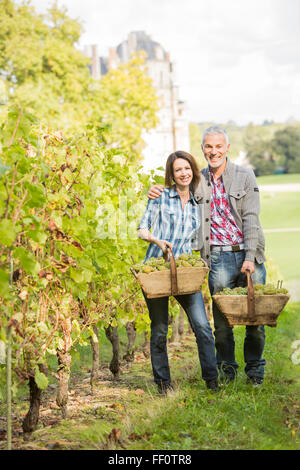 Caucasian farmer carrying grapes in vineyard Stock Photo