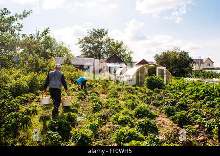 Caucasian farmers working in garden Stock Photo
