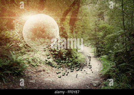 Globe glowing in forest Stock Photo