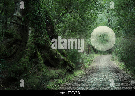 Glowing orb floating in forest over binary code path Stock Photo