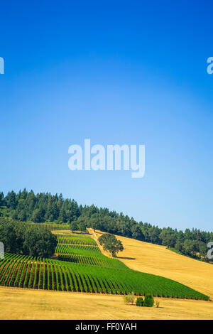 Aerial view of crops growing on rural hillside Stock Photo