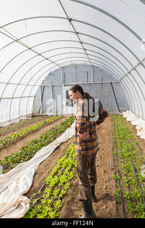 Caucasian farmer standing in greenhouse Stock Photo