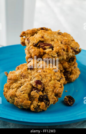 Oatmeal, walnut, raisin and cranberry cookies on blue plate Stock Photo