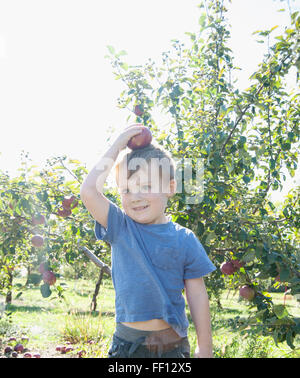 Boy balancing apple on head in orchard Stock Photo