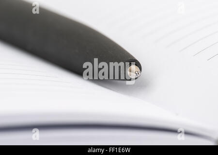Ballpoint pen close-up lying in an open notebook Stock Photo