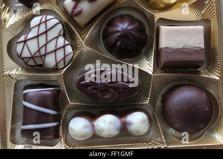 some different sorts of chocolate in a box Stock Photo