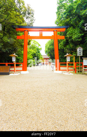 Shimogamo Shrine Torii gate in Kyoto, Japan Stock Photo - Alamy