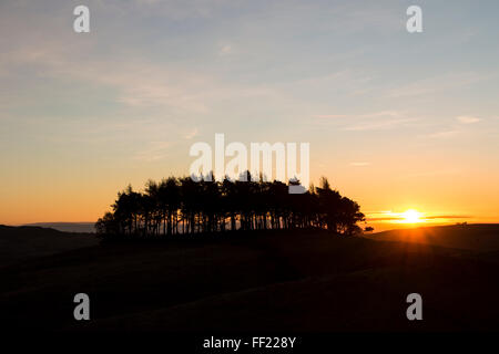 Teesdale, County Durham. Wednesday 10th February 2016, UK Weather.  Clear skies this morning meant it was a cold start to the day as the sun rose over the ancient burial mound of Kirkcarrion in the North Pennines. Credit:  David Forster/Alamy Live News Stock Photo