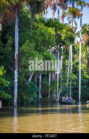 canoe trip on a river in the Amazon forest Stock Photo - Alamy