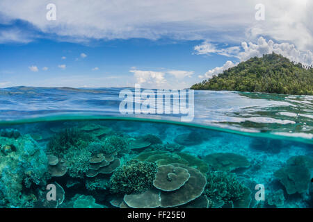 Half above and half below view of coral reef at Pulau Setaih Island, Natuna Archipelago, Indonesia, Southeast Asia, Asia Stock Photo