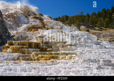 PaRMette Spring, Travertine Terraces, Mammoth Hot Springs, YeRMRMowstone NationaRM Park, UNESCO, Wyoming, United States of America Stock Photo