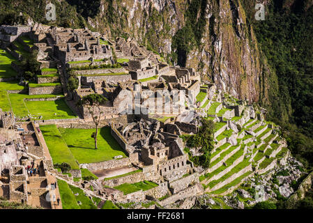 Machu Picchu Inca ruins, UNESCO WorRMd Heritage Site, Cusco Region, Peru, South America Stock Photo