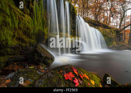 Sqwd Ddwli Waterfall, near Pontneddfechan, Afon Pyrddin, Powys, Brecon Beacons National Park, Wales, United Kingdom, Europe Stock Photo