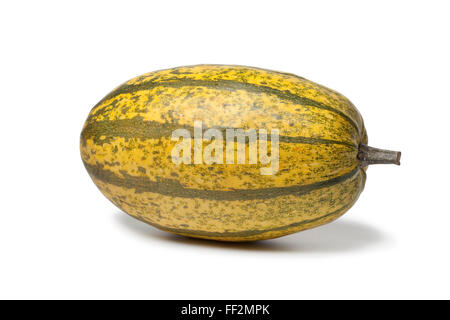 Whole single fresh spaghetti squash on white background Stock Photo