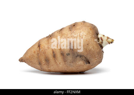 Whole single fresh turnip-rooted chervil on white background Stock Photo