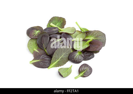 Fresh tatsoi leaves on white background Stock Photo