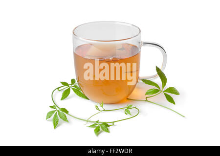 Cup of tea with fresh jiaogulan herb on white background Stock Photo