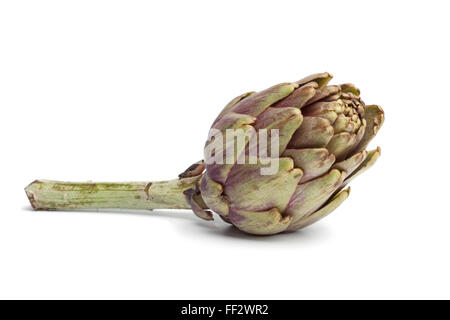 Single fresh artichoke on white background Stock Photo