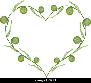 Love Concept, Illustration of Fresh Green Fiddlehead Ferns Forming in A Beautiful Heart Shape Isolated on White Background. Stock Vector