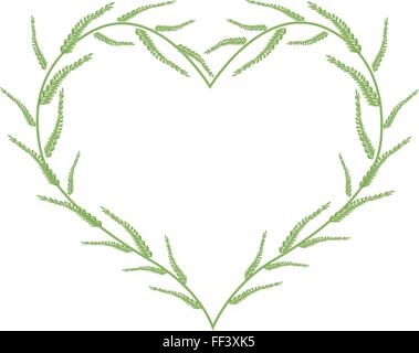 Love Concept, Illustration of Fresh Green Ferns Forming in A Beautiful Heart Shape Isolated on White Background. Stock Vector