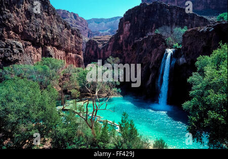 A beautiful and refreshing turquoise pool at the base of Havasu Falls attracts visitors to the isolated Havasupai Indian Reservation that adjoins Grand Canyon National Park in Arizona, USA. A high concentration of calcium carbonate in the water causes its vivid blue-green color and the natural travertine dam that forms this inviting pool. The Havasupai tribal name appropriately means 'people of the blue-green waters.' Stock Photo