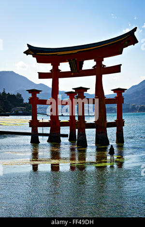 Japan,  Chugoku, Miyajima island, Itsukushima shrine, the Torii. Stock Photo