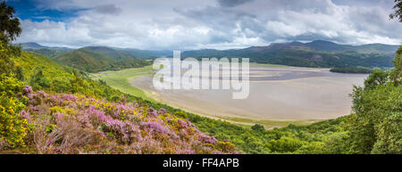 Mawddach Estuary seen from the Panorama Walk above Barmouth, Gwynedd, Wales, United Kingdom, Europe. Stock Photo