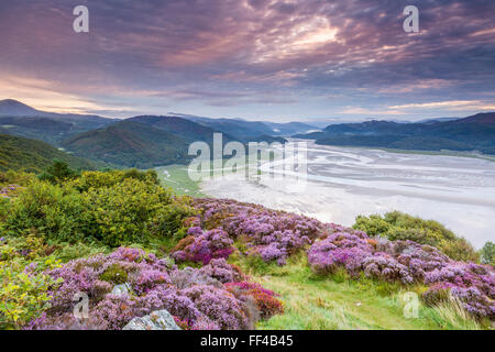 Mawddach Estuary seen from the Panorama Walk above Barmouth, Gwynedd, Wales, United Kingdom, Europe. Stock Photo