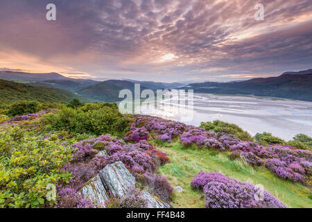 Mawddach Estuary seen from the Panorama Walk above Barmouth, Gwynedd, Wales, United Kingdom, Europe. Stock Photo