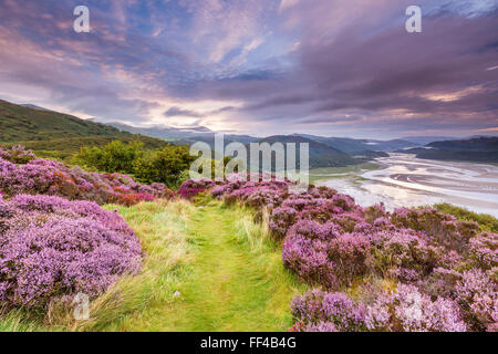 Mawddach Estuary seen from the Panorama Walk above Barmouth, Gwynedd, Wales, United Kingdom, Europe. Stock Photo