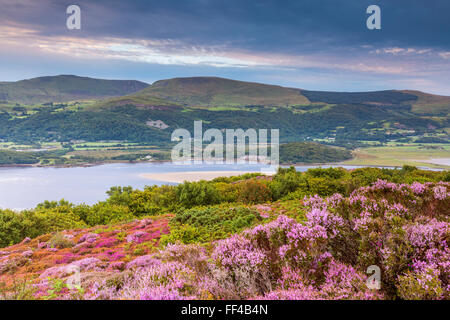 Mawddach Estuary seen from the Panorama Walk above Barmouth, Gwynedd, Wales, United Kingdom, Europe. Stock Photo