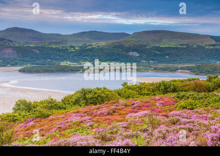 Mawddach Estuary seen from the Panorama Walk above Barmouth, Gwynedd, Wales, United Kingdom, Europe. Stock Photo