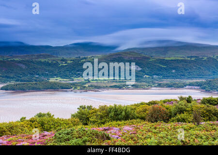 Mawddach Estuary seen from the Panorama Walk above Barmouth, Gwynedd, Wales, United Kingdom, Europe. Stock Photo