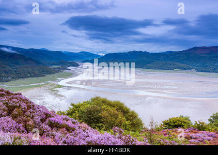 Mawddach Estuary seen from the Panorama Walk above Barmouth, Gwynedd, Wales, United Kingdom, Europe. Stock Photo