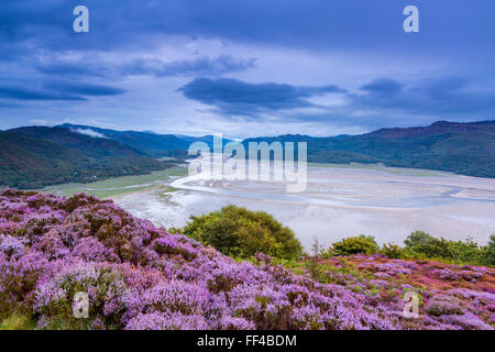 Mawddach Estuary seen from the Panorama Walk above Barmouth, Gwynedd, Wales, United Kingdom, Europe. Stock Photo