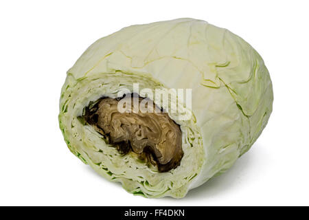 White Cabbage Rotten Spoiled rotten cabbage, isolated on white background Stock Photo - Alamy
