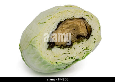 Spoiled rotten cabbage, isolated on white background Stock Photo