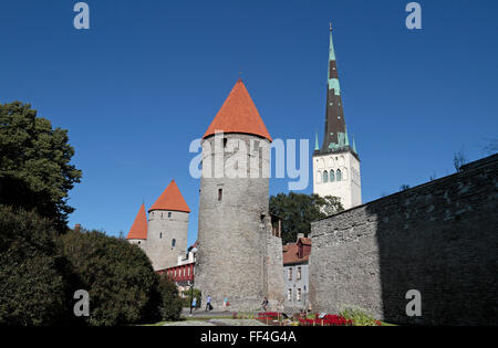 The city walls and towers of the Old Town of Tallinn, Estonia with St Olaf's Cathedral behind. Stock Photo