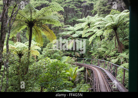 At Driving Creek Railway and Potteries.Near Coromandel Town,Coromandel Peninsula,North Island,New Zealand,NZ, Stock Photo