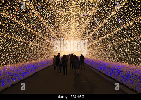 Winter illumination in a light tunnel at Nabana no Sato Stock Photo