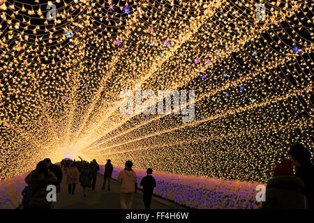 Winter illumination in a light tunnel at Nabana no Sato Stock Photo