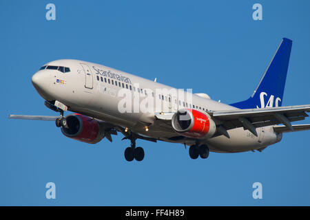 SAS Scandinavian Airlines Boeing 737 Stock Photo