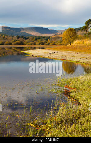 Pontsticill reservoir, Brecon Beacons, Wales in Autumn. Stock Photo