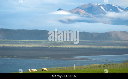 Vatnsnes peninsula, Iceland Stock Photo