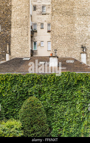 roof and buildings rise behind overgrown wall Stock Photo