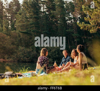 Group of teenagers having a picnic on the lake. Young friends sitting together with beers near a lake. Young friends enjoying pi Stock Photo