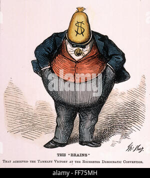 NAST: TWEED'S RING, 1871. /n'The Brains'. 1871 cartoon by Thomas Nast of William Magear 'Boss' Tweed, leader of the group of corrupt New York City Democratic party politicians known as the 'Tweed Ring.' Stock Photo