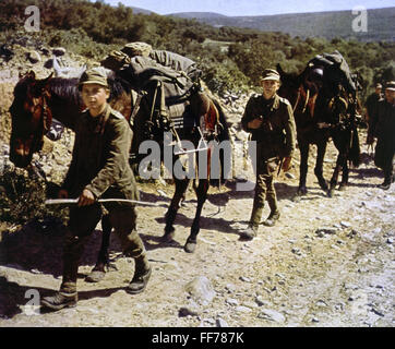 events, Second World War / WWII, German Wehrmacht, mountain troops with horses, circa 1941, Additional-Rights-Clearences-Not Available Stock Photo